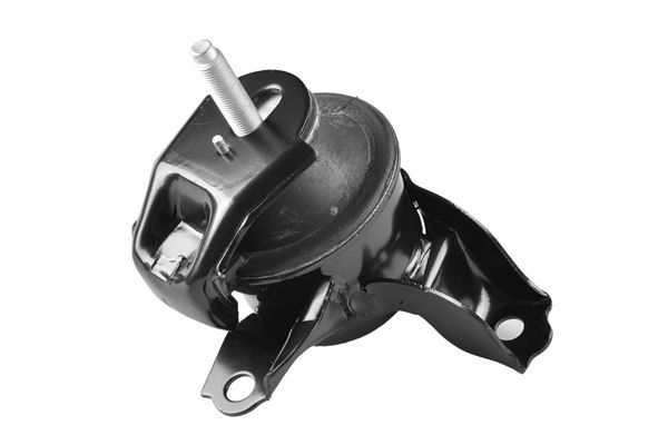 Variklio montavimas TEDGUM TED13667