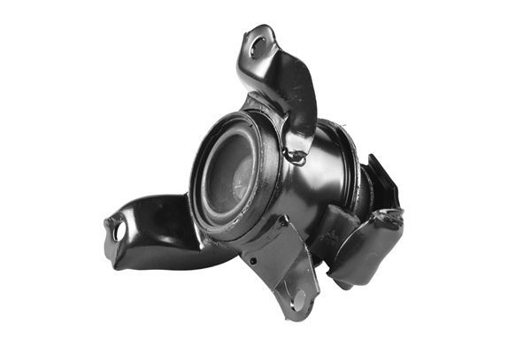 Variklio montavimas TEDGUM TED13667