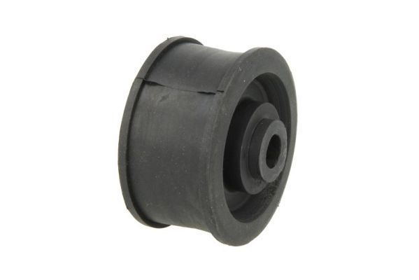 Variklio montavimas TEDGUM TED13947