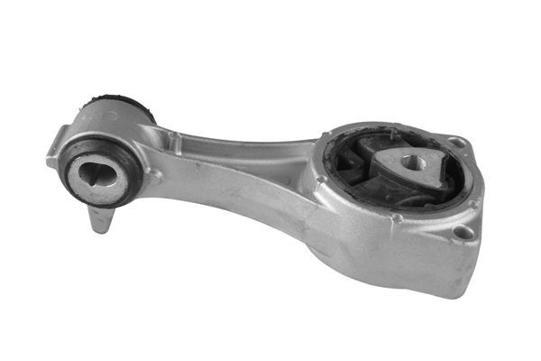 Variklio montavimas TEDGUM TED15047