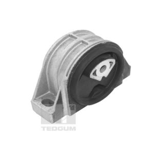 Variklio montavimas TEDGUM TED16678