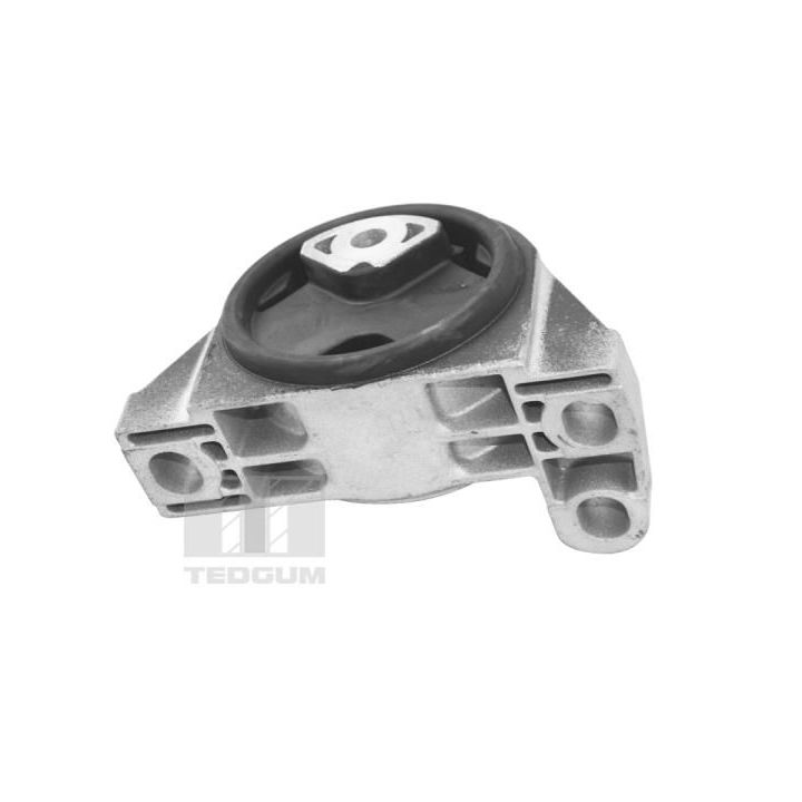 Variklio montavimas TEDGUM TED16678