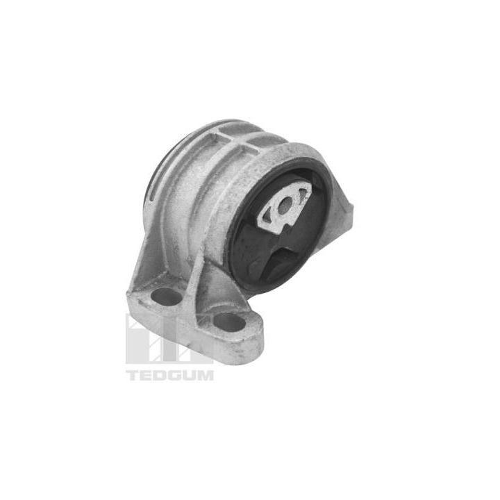 Variklio montavimas TEDGUM TED16678