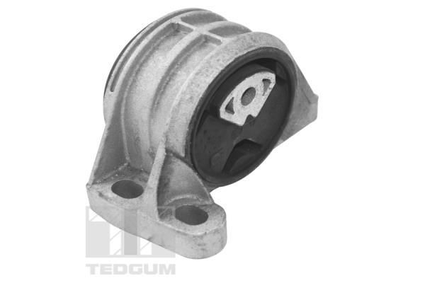 Variklio montavimas TEDGUM TED16678