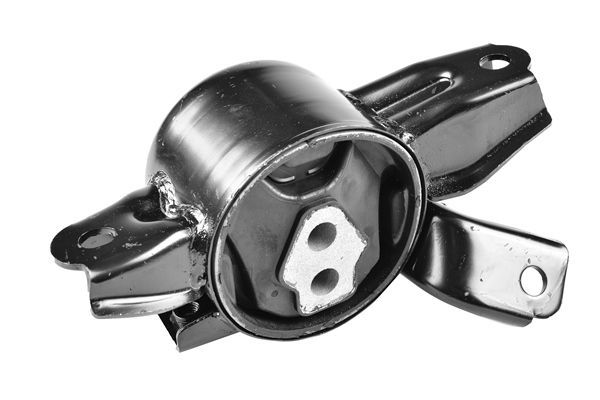 Variklio montavimas TEDGUM TED16931