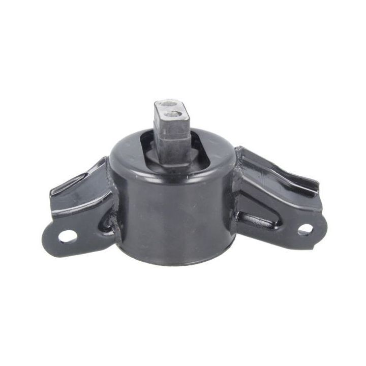 Variklio montavimas TEDGUM TED16987