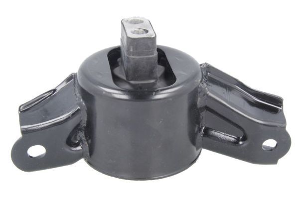 Variklio montavimas TEDGUM TED16987