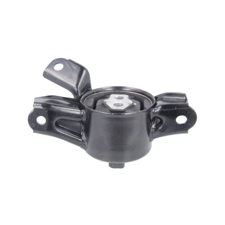 Variklio montavimas TEDGUM TED16987