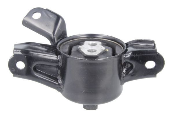 Variklio montavimas TEDGUM TED16987