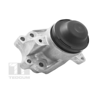 Variklio montavimas TEDGUM TED17586