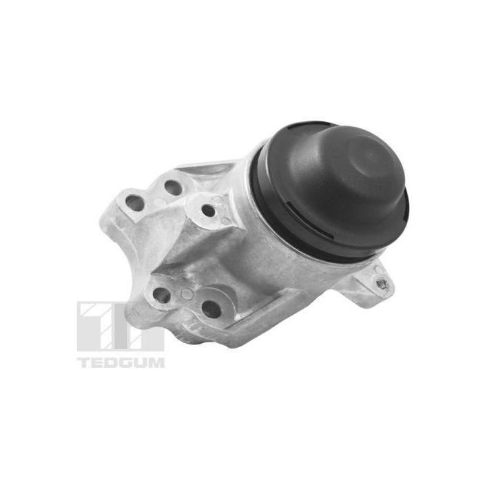 Variklio montavimas TEDGUM TED17586