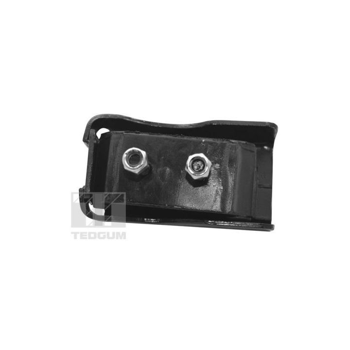 Variklio montavimas TEDGUM TED17676
