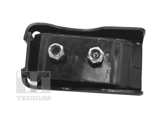 Variklio montavimas TEDGUM TED17676