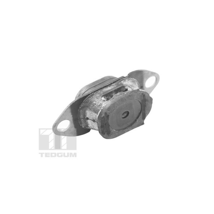 Variklio montavimas TEDGUM TED27774