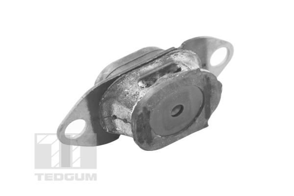 Variklio montavimas TEDGUM TED27774