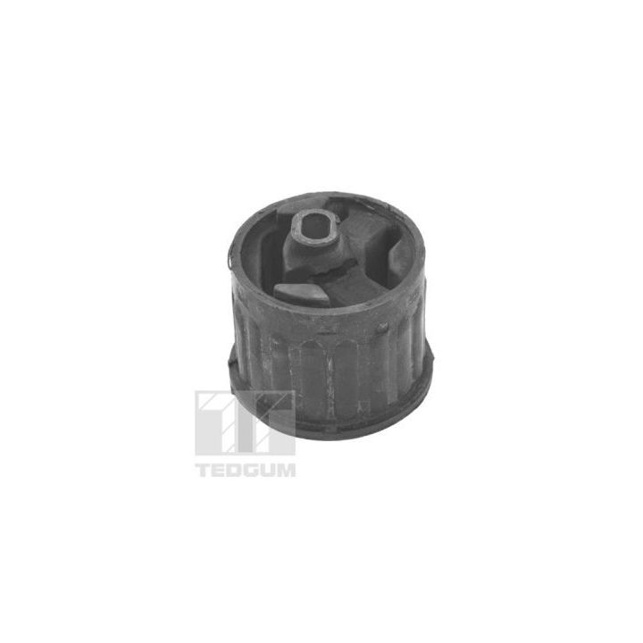 Variklio montavimas TEDGUM TED28389
