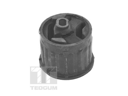 Variklio montavimas TEDGUM TED28389