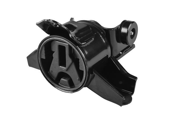 Variklio montavimas TEDGUM TED32661