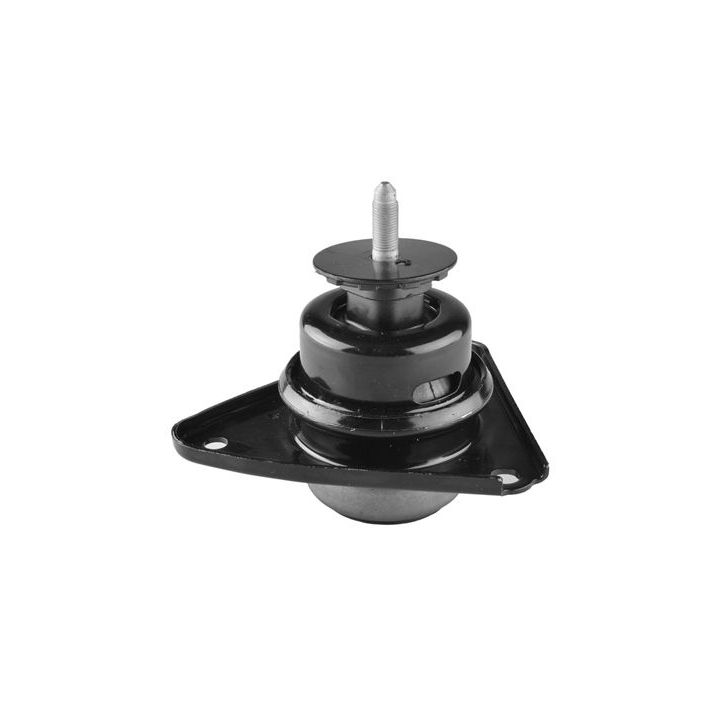 Variklio montavimas TEDGUM TED33753