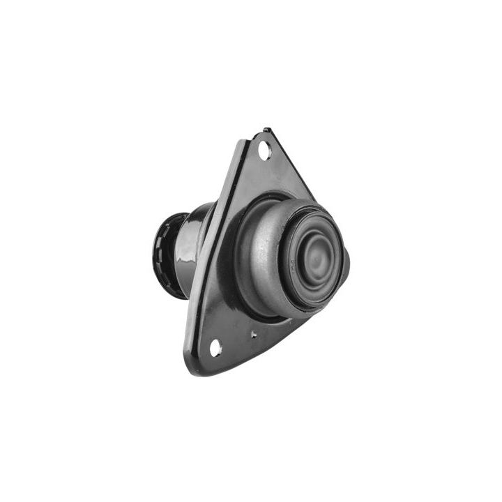 Variklio montavimas TEDGUM TED33753