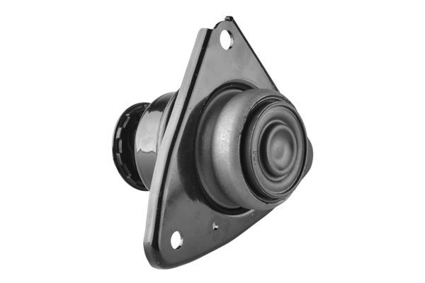 Variklio montavimas TEDGUM TED33753