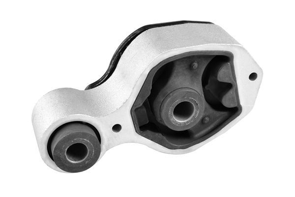 Variklio montavimas TEDGUM TED34420