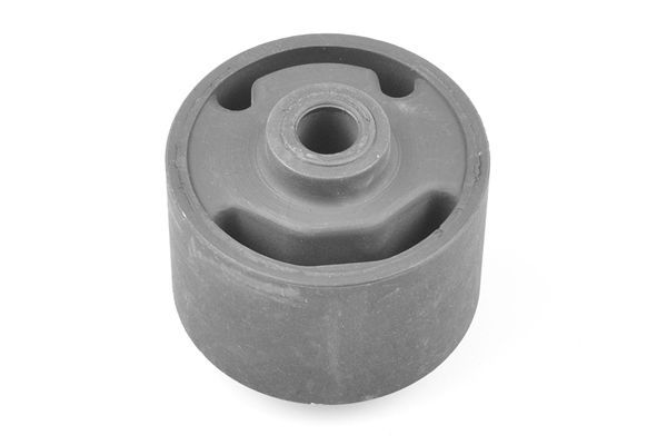 Variklio montavimas TEDGUM TED36113