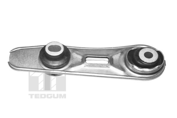 Variklio montavimas TEDGUM TED36940