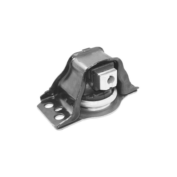 Variklio montavimas TEDGUM TED37004