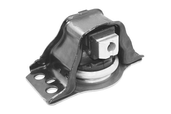 Variklio montavimas TEDGUM TED37004