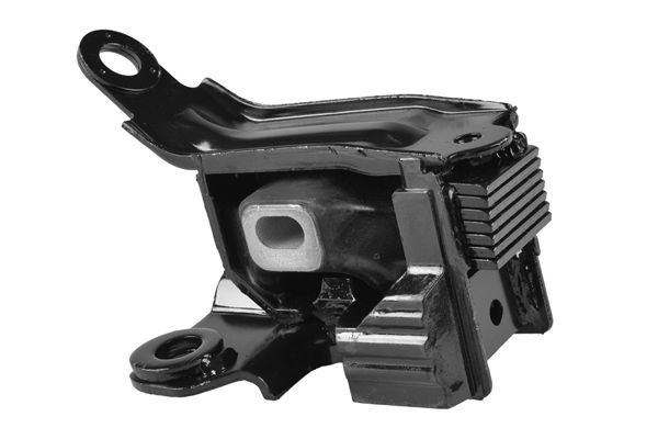 Variklio montavimas TEDGUM TED37521