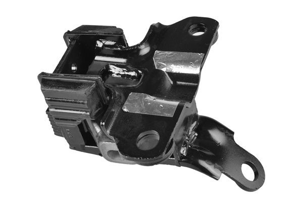 Variklio montavimas TEDGUM TED37521