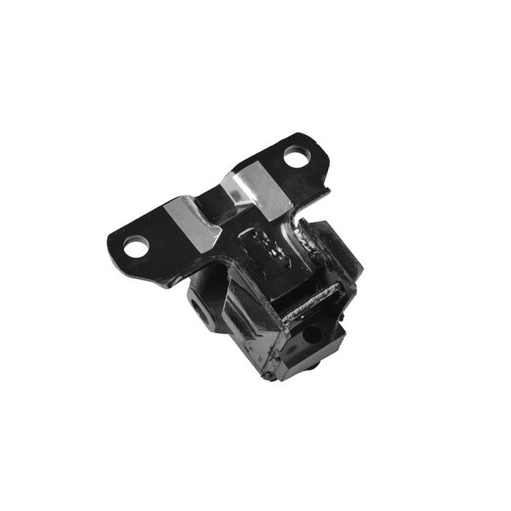 Variklio montavimas TEDGUM TED37521