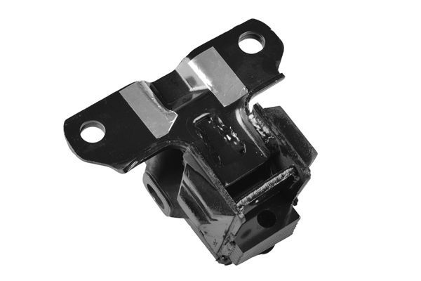 Variklio montavimas TEDGUM TED37521