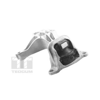 Variklio montavimas TEDGUM TED37615