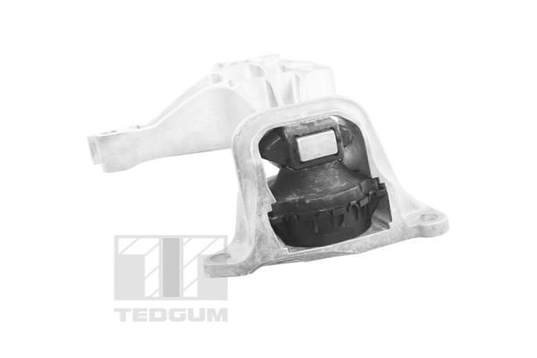 Variklio montavimas TEDGUM TED37615