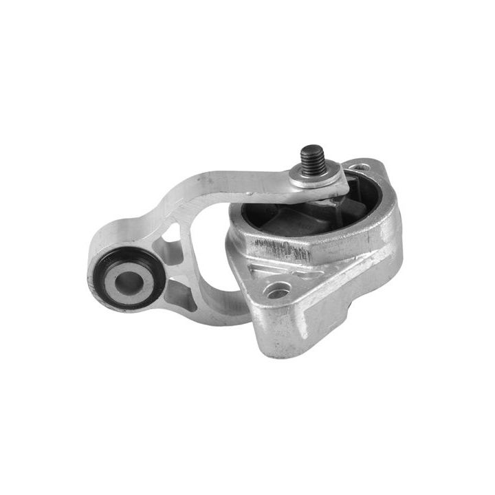 Variklio montavimas TEDGUM TED38615