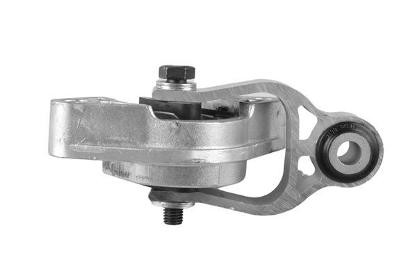 Variklio montavimas TEDGUM TED38615