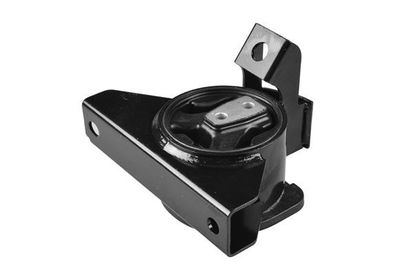 Variklio montavimas TEDGUM TED39714