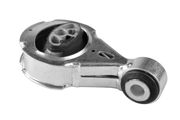 Variklio montavimas TEDGUM TED39909