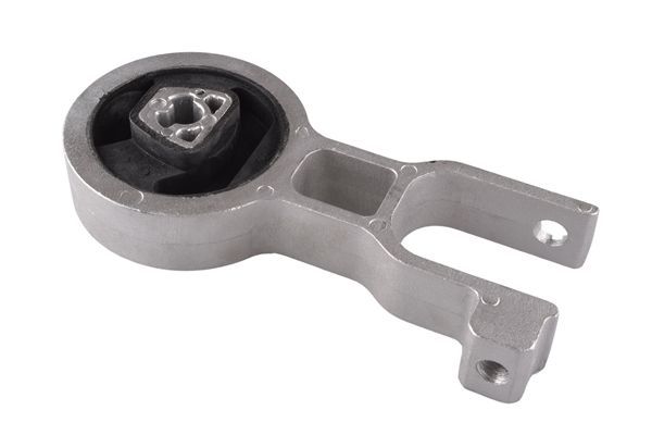 Variklio montavimas TEDGUM TED40028