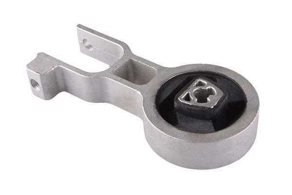 Variklio montavimas TEDGUM TED40028