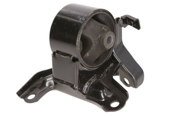 Variklio montavimas TEDGUM TED40055