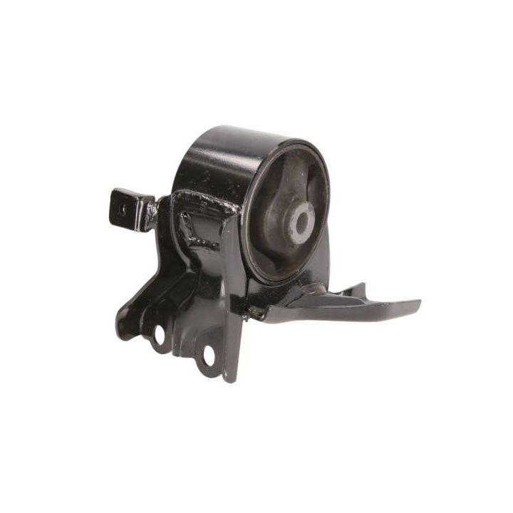 Variklio montavimas TEDGUM TED40055