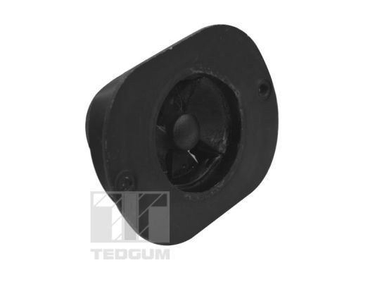 Variklio montavimas TEDGUM TED40521
