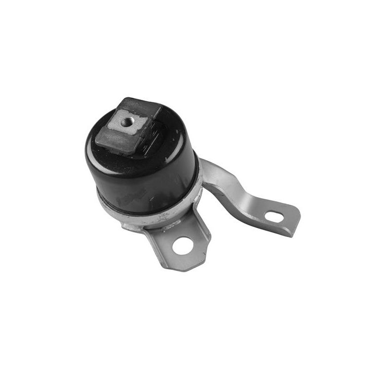 Variklio montavimas TEDGUM TED40730