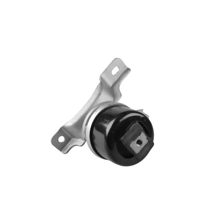 Variklio montavimas TEDGUM TED40730