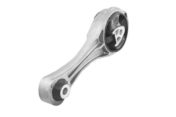 Variklio montavimas TEDGUM TED41270