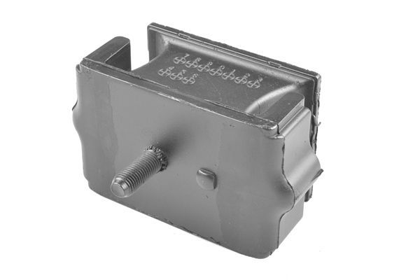 Variklio montavimas TEDGUM TED41301