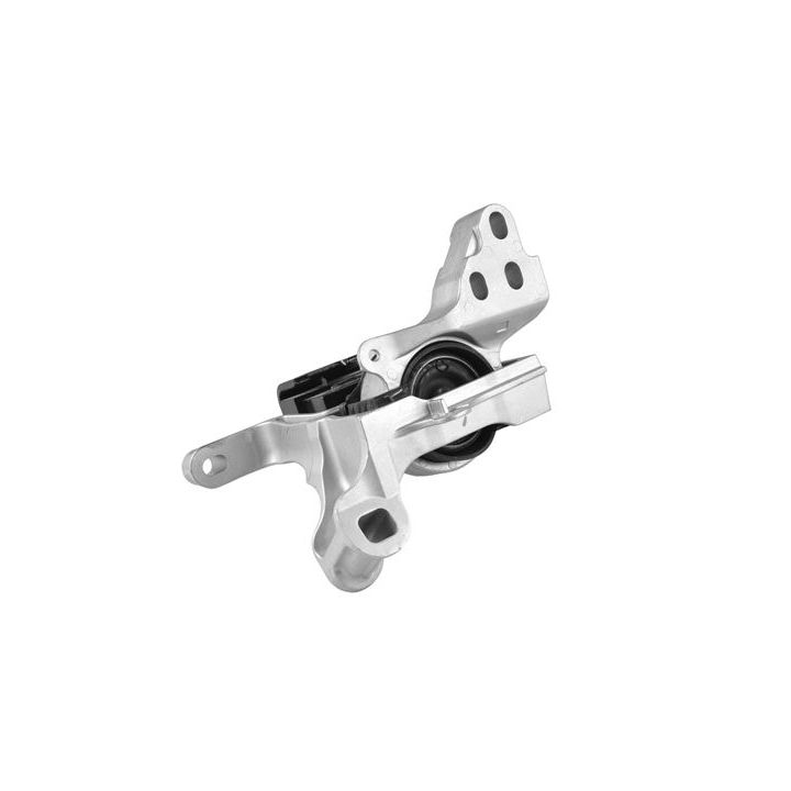 Variklio montavimas TEDGUM TED42365